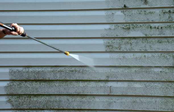 Best Building Exterior Washing  in Burlington, ND